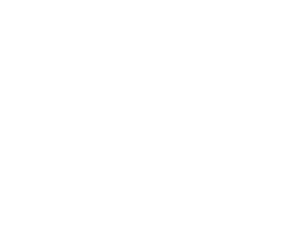 HEIG-VD_logotype_blanc-rvb copy