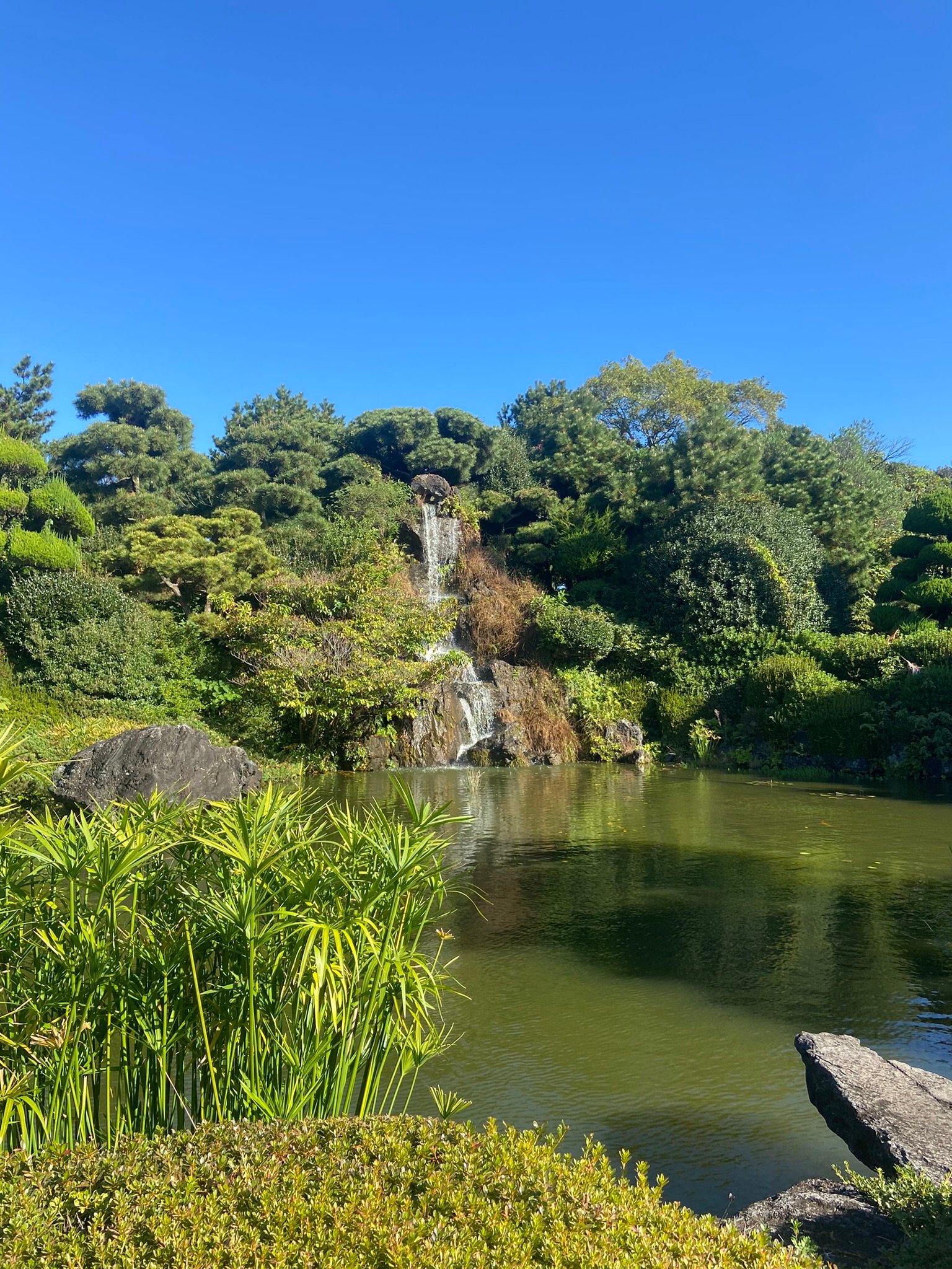 Jeju Island Waterfall 1